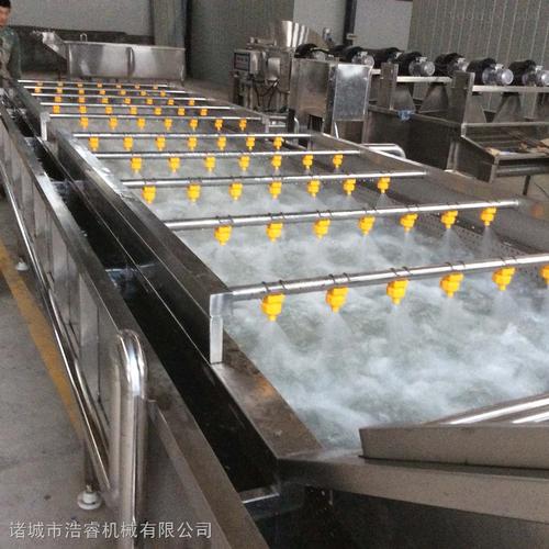 全自动榨菜酱菜脱盐机 海带清洗脱盐机